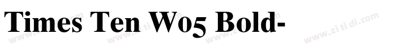 Times Ten W05 Bold字体转换